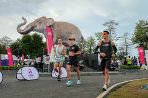 BIB: 
                            <button type="button" onclick="openModal(26528803)" class="btn btn-primary btn-sm float-right btn-popup" data-toggle="modal" data-target=".modal-high-quality">
                        <i class="fas fa-shopping-cart"></i> Add to Cart
                    </button>
                                            <button type="button" onclick="isThisMe(26528803, true)" class="btn btn-success btn-sm float-right btn-popup btn-isme hidden" data-toggle="tooltip" data-placement="bottom" title="นี่คือรูปของคุณใช่ไหม คลิกที่นี่เพื่อเอาเข้าอัลบั้ม">
                        <i class="fas fa-plus"></i> Add to album
                    </button>
                    <button type="button" onclick="isThisMe(26528803, false)" class="btn btn-warning btn-sm float-right btn-popup btn-isnotme hidden">
                        <i class="fas fa-ban"></i> Remove from album
                    </button>